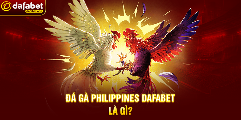 Đá Gà Philippines Dafabet Là Gì?